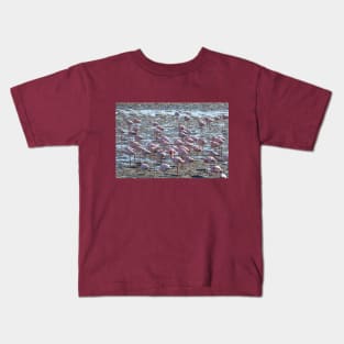 Namibia. Walvis Bay. Another Flamboyance of Flamingos. Kids T-Shirt